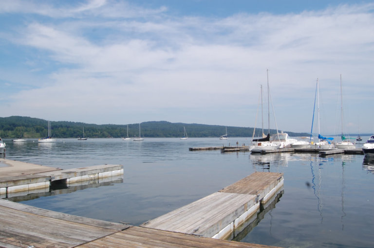 Fishhook waterflea infests Lake Champlain