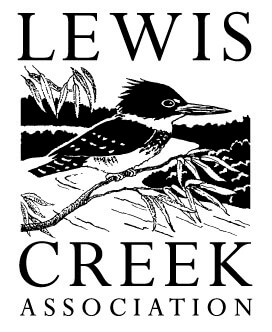 Lewis Creek Update: Water matters event planned