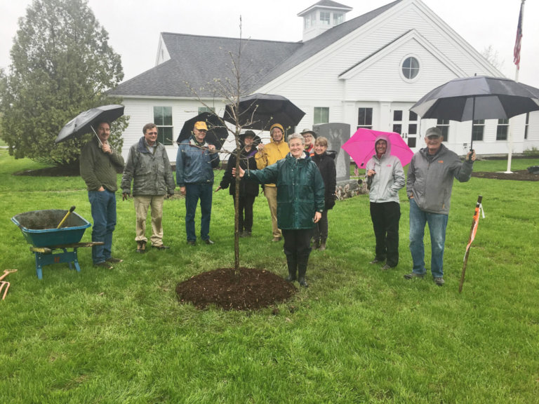 CCS students “rained in” on Arbor Day