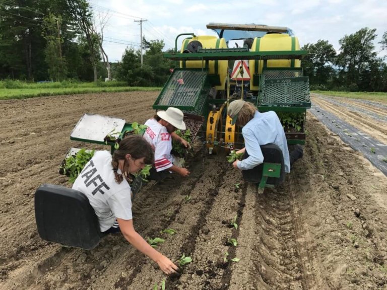 The fickle face of farming