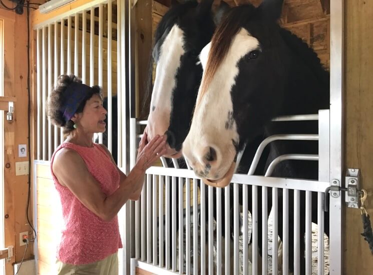 Farm Series: Cathy and “the boys” at Unity Farm