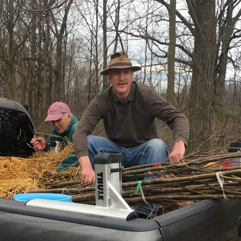 A word from the Charlotte Tree Warden