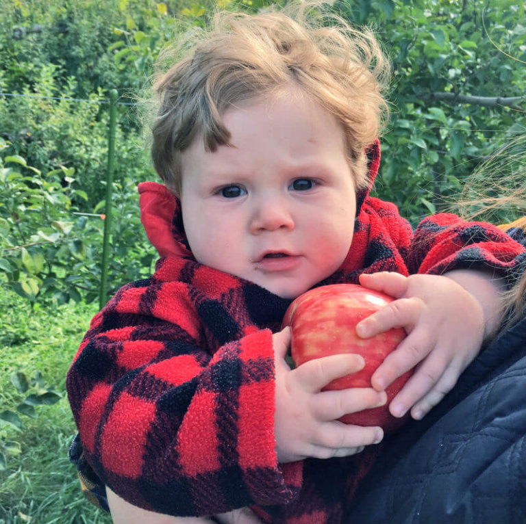 Apple picking, a bushel and a peck and a hug around the neck