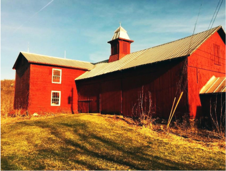 UPDATE: Commission finds VSP committed racial, gender discrimination against Clemmons Family Farm director