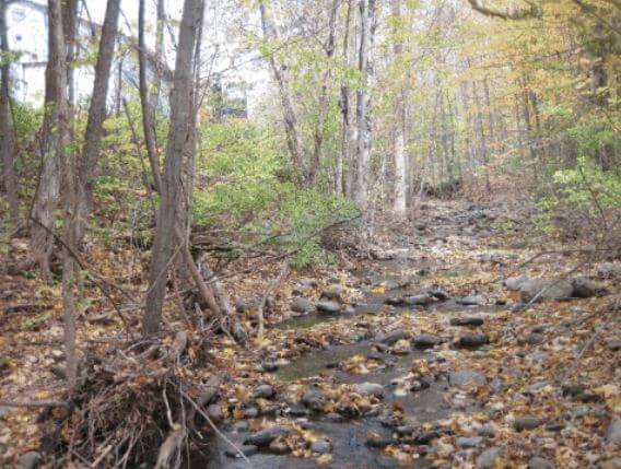 Hinesburg Garage stormwater treatment is a great example of what towns can do