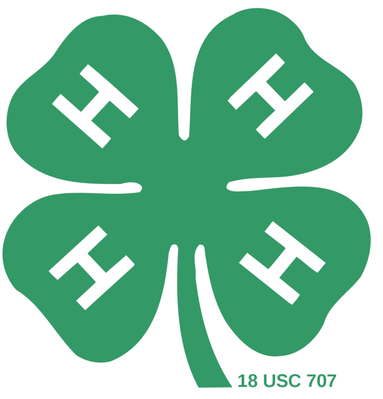 The 4-H experience