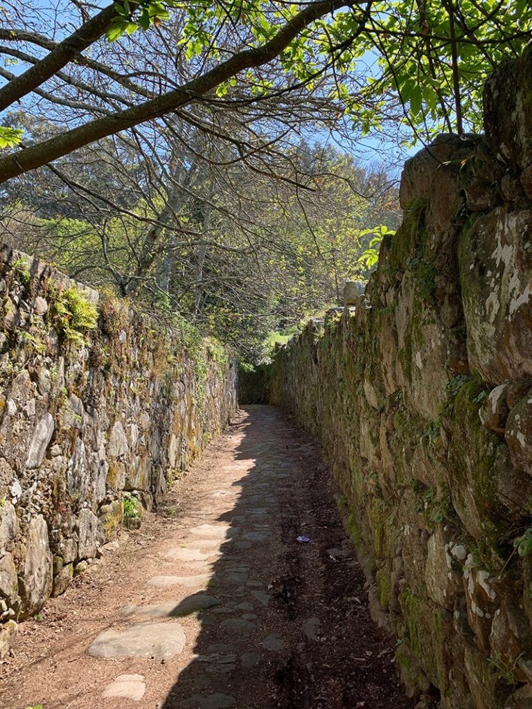 Walking the Camino Portugues, one slow step at a time