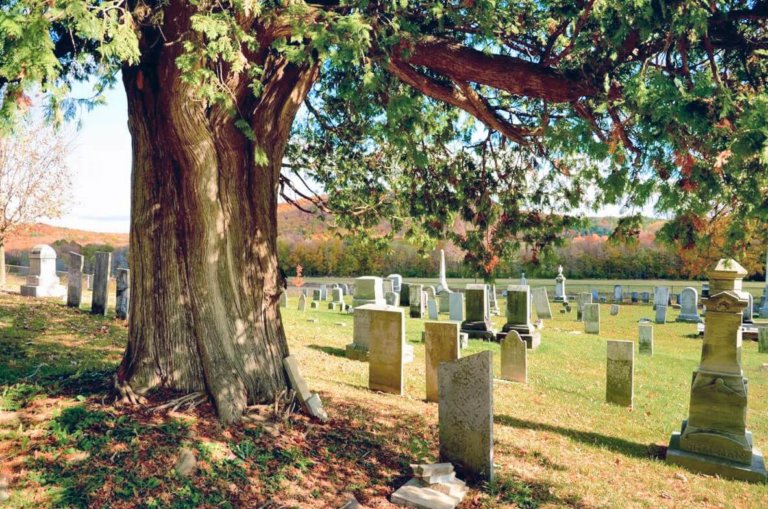 Donor to fund cemetery fence repair