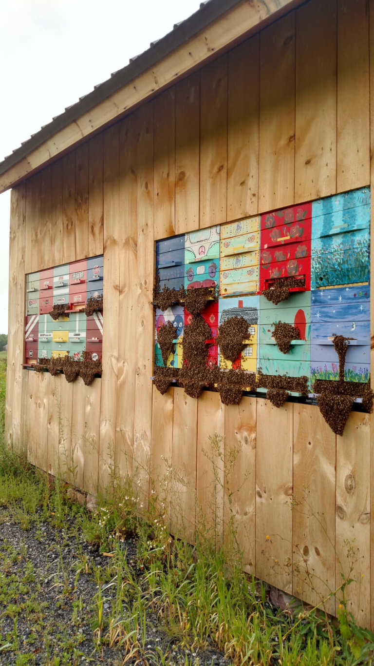 Slovenian bee buildings provide a peek into the lives of honeybees