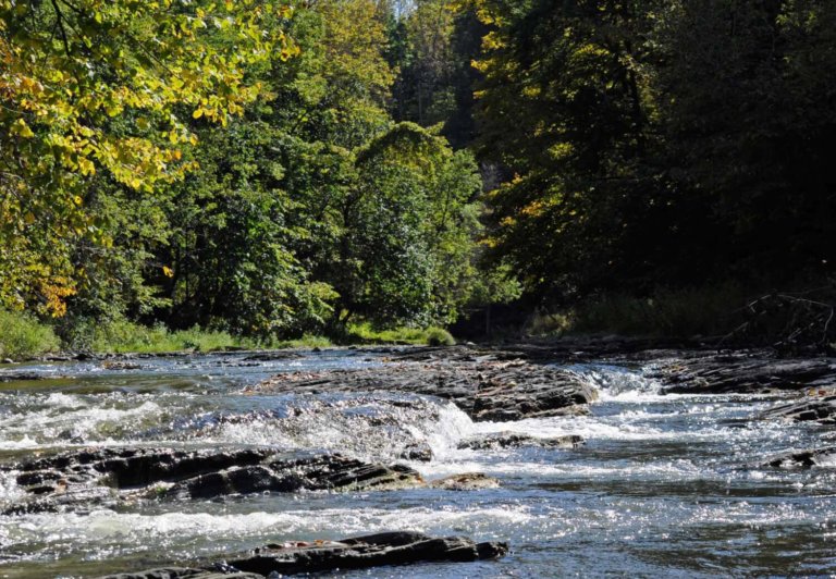 Lewis Creek Association Hosts Free Film Screening of Toxic Puzzle