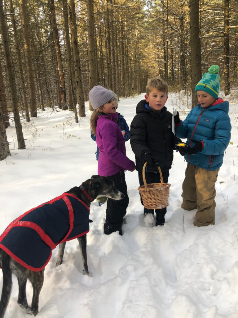 The season’s first Snow Storm