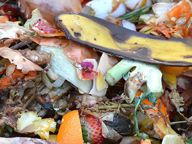compost_Image by Ben Kerckx from Pixabay