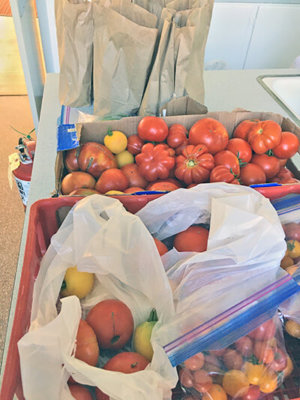 The Food Shelf is graced with the generosity of many gardeners who share their bounty. Photo contributed