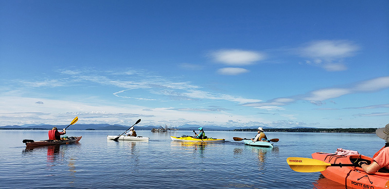 The Senior Center Kayaking for Women group paddled their way to Lake Champlain from the Lamoille River on Friday, August 28. Photo contributed 