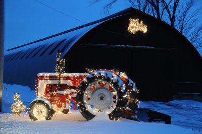 Terrence Dinnan took this festive photo at the Nichols Farm in Charlotte.