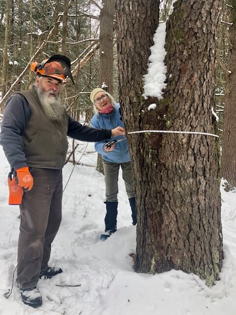 Deputy Tree Warden Sue Smith and Cliff Mix, a retired forester who manages Mary Cheney’s lands, measure the new champion black cherry. Photo by Meg Berlin