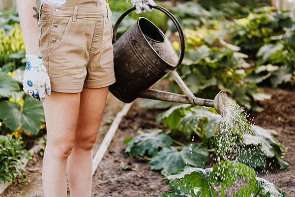 Free vegetable gardening series offered this spring