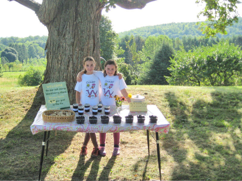 This photo taken in 2011 pictures Olivia (L) and Greta (R) Hagios selling blackberries to support the Charlotte Food Shelf. Charlotte News file photo