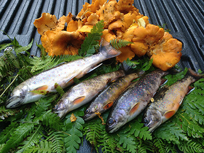 Brookies and Chanterelles.Photo by Bradley Carleton