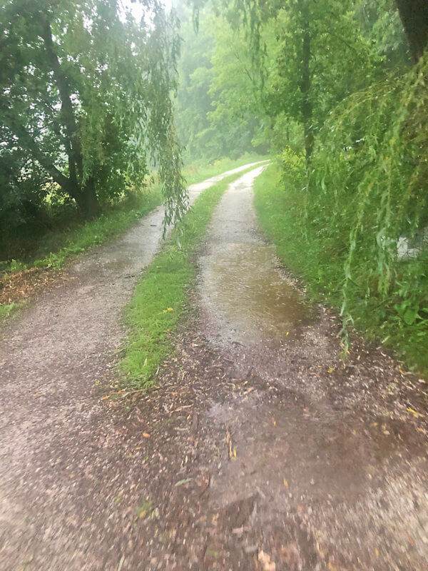 A narrow dirt road serves as the sole driveway access to Thompson’s residential property. VCS is planning construction to widen the road for school buses and student vehicles. Photo by Mara Brooks