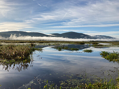 Bristol Pond, where three known aquatic invasive species are found. Photo by Matthew Gorton.