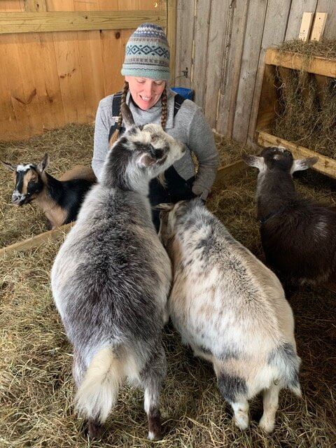 Margaret Aiken greets two of her Nigerian Dwarf goats at the farm. Photo contributed