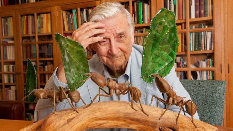 E.O. Wilson: in memoriam