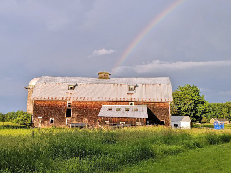 Grass Cattle Company, Charlotte, VT. Photo by Steve Schubart