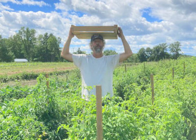 Photo contributed. Dave is waist-deep in tomatoes.