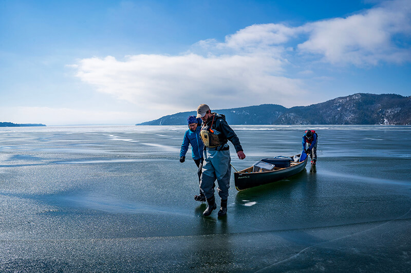 Wildlife technician Cody Sears, Adirondack Center for Loon Conservation director of philanthropy Susan Harry and volunteer Kevin Boyle pull and push a canoe with five rescued loons in bins off the ice near Diamond Island. Photo by Eric Teed