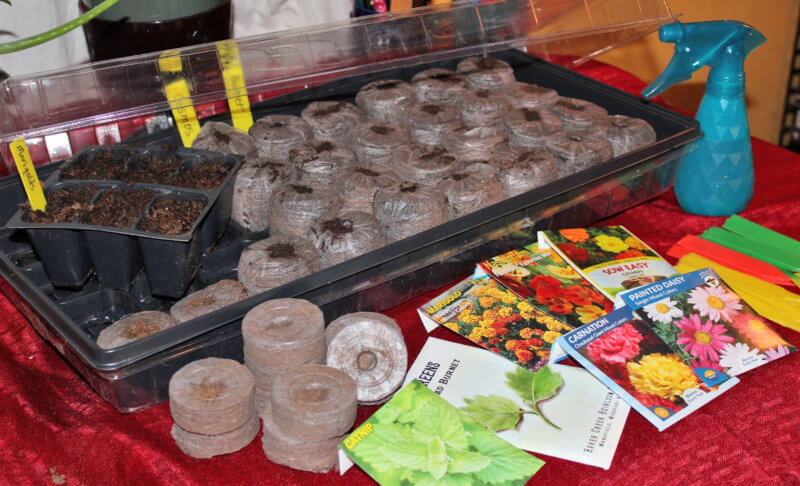 Photo by Deborah J. Benoit) Many varieties of seeds can be successfully started indoors in potting soil or peat pellets with proper light and moisture. 