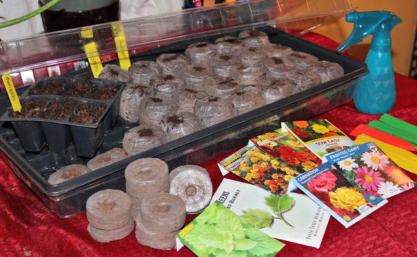 Photo by Deborah J. Benoit) Many varieties of seeds can be successfully started indoors in potting soil or peat pellets with proper light and moisture.