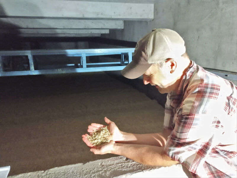 Photos by Juliann Phelps Above: General manager of Vermont Malthouse, Rob Hunter scoops a handful of germinated barley in the heating room.