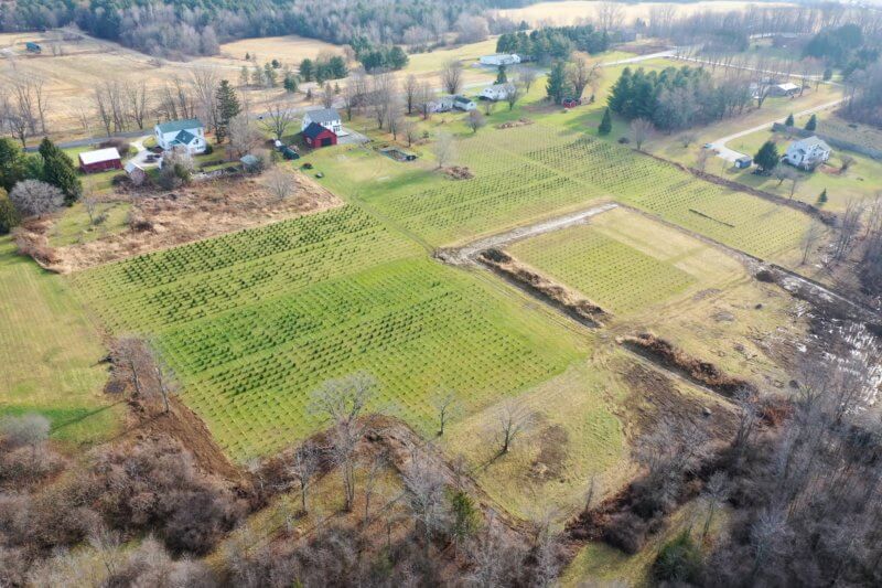 Photo contributed. A drone photo of Split Rock Tree Farm.