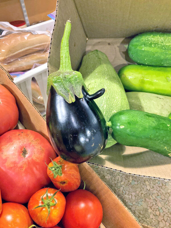 Photo by Karen Doris. Among the variety of vegetable donations to the Charlotte Food Shelf is this eggplant with a nose.