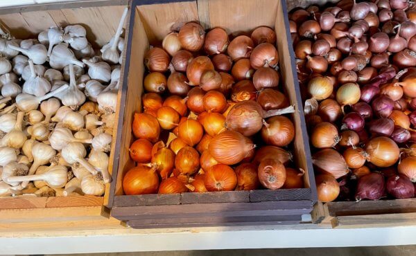 Photos by Joan Weed/Sweet Roots Farmstead This is a great time of year to stock up on alliums like garlic, onions, leeks and shallots.
