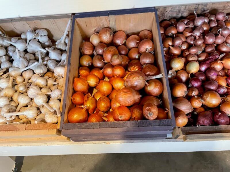 Photos by Joan Weed/Sweet Roots Farmstead This is a great time of year to stock up on alliums like garlic, onions, leeks and shallots.