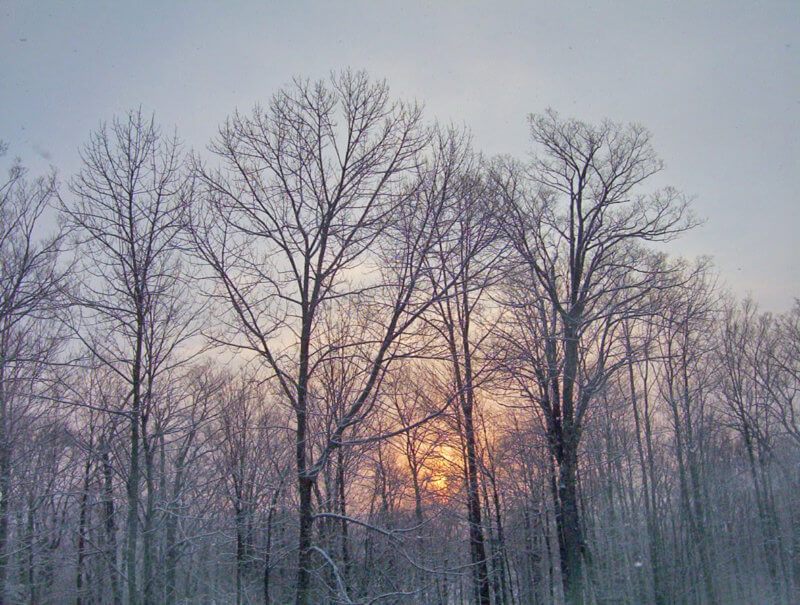 Photo courtesy of Vermont State Parks