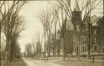 Photo from Special Collections, Bailey-Howe Library, University of Vermont American elms that were dying from Dutch elm disease line the street in front of Old Mill building and Billings Library at the University of Vermont.