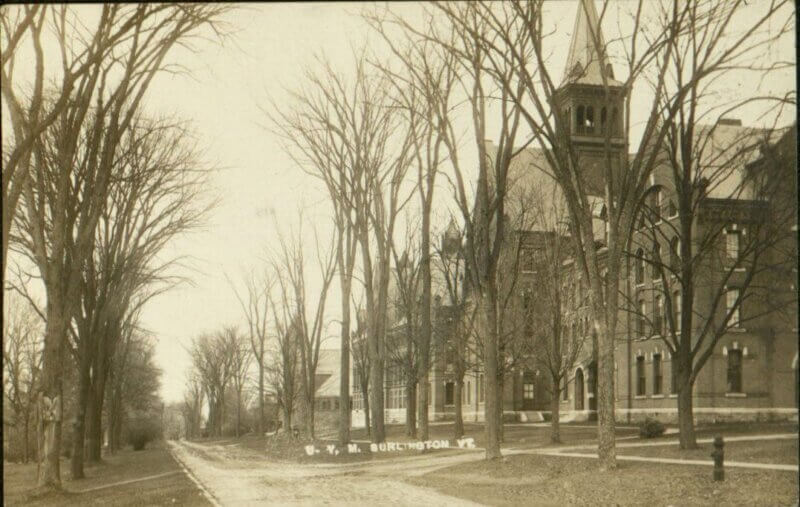 Photo from Special Collections, Bailey-Howe Library, University of VermontAmerican elms that were dying from Dutch elm disease line the street in front of Old Mill building and Billings Library at the University of Vermont. 