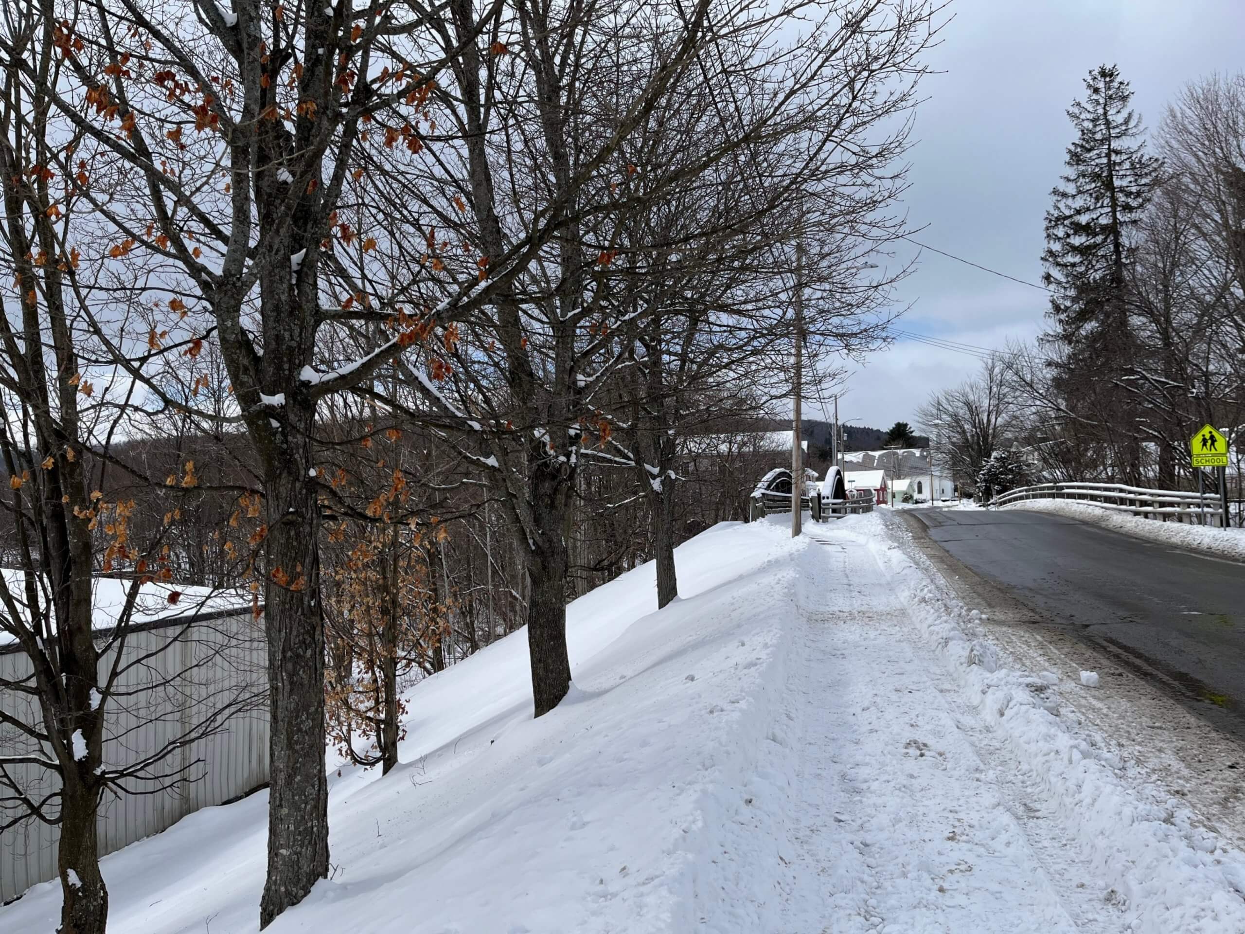 Photo by Bonnie Kirn Donahue Although salt is beneficial in winter for deicing roads and walkways, it can be detrimental to trees, shrubs and landscape plants that are planted near salted roads or sidewalks.