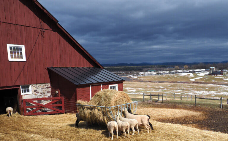 Proposed small-farm grant cut in legislative process