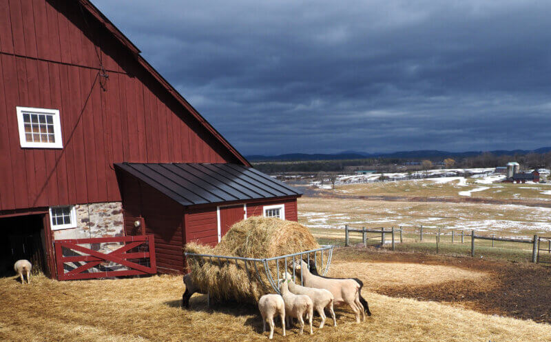 Philo Ridge Farm. Photo by Lee Krohn