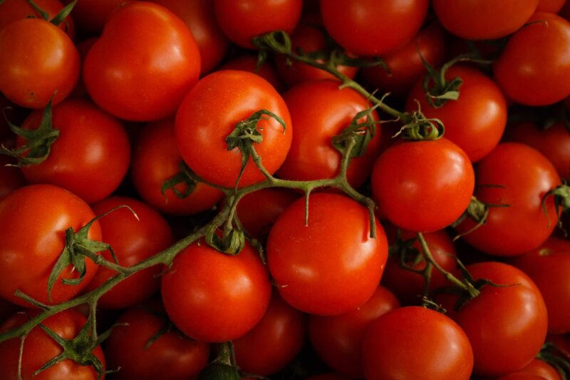 Photo by Tom Herman/Unsplash Tomatoes, which were first discovered growing wild in the Andes Mountains of South America, are the most popular home-grown vegetable crop in the United States today.