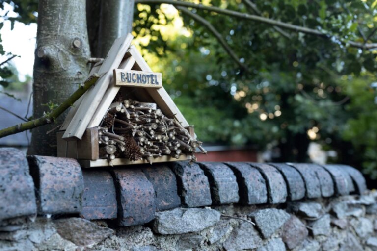 Encourage beneficial insects in garden with a bug hotel