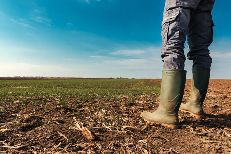 ‘Delays on three or even four levels’: Vermont farmers deal with conservation rigmarole