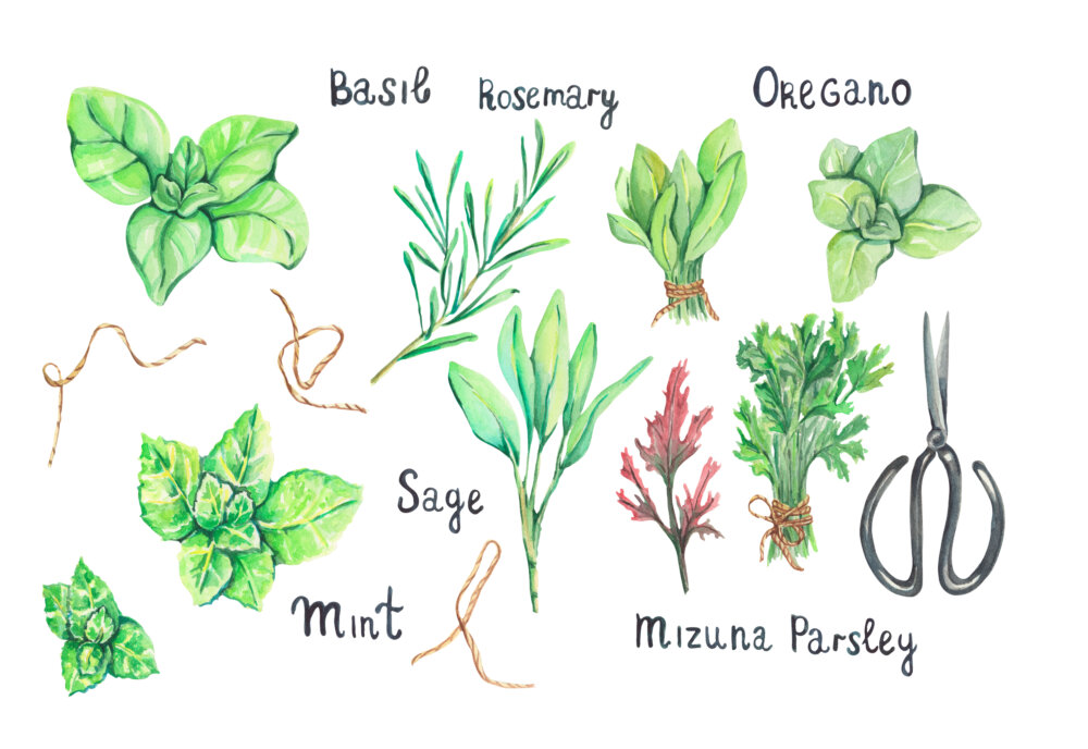 Keep herbs close and diverse
