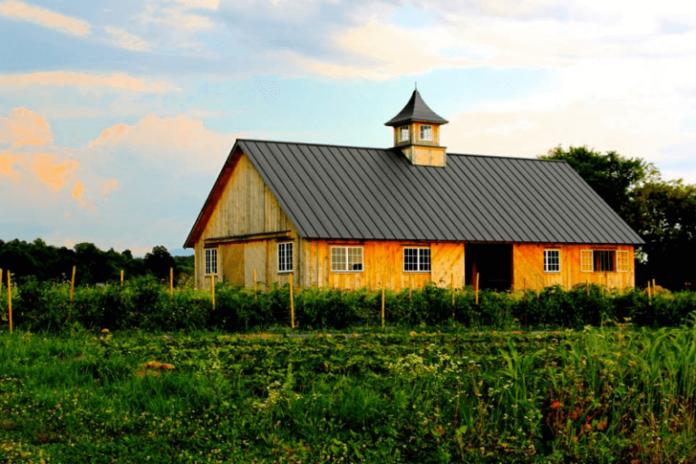 Charlotte farms celebrate Open Farm Week