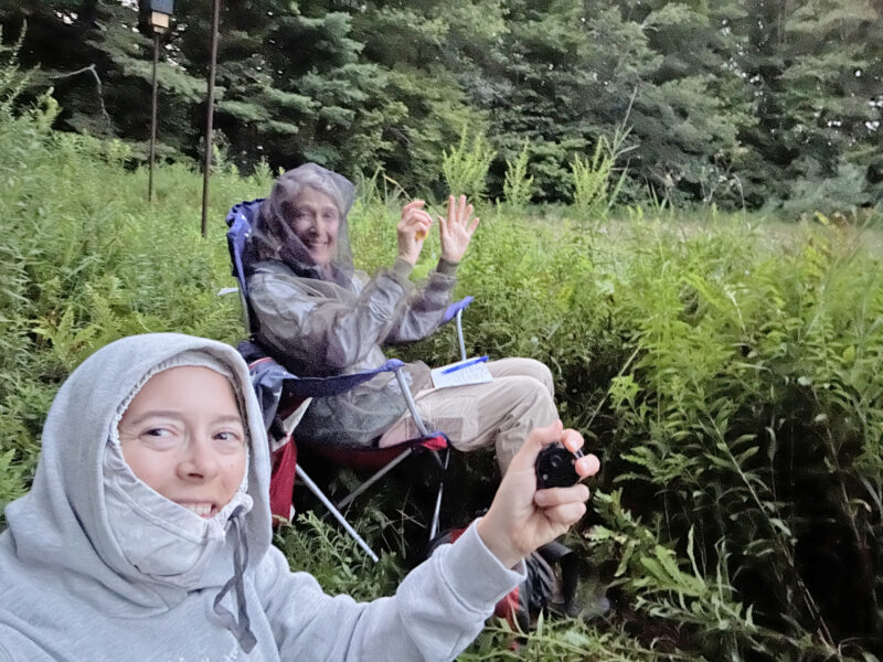 Courtesy photo
Allaire Diamond and Elizabeth Bassett counting bats in the gathering darkness. They tallied about 300 of the endangered Indiana bats emerging and scattering into the darkness, enough to eat around 250,000 insects an hour.