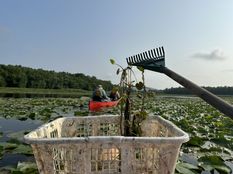 Wrapping up the water quality stewardship field season